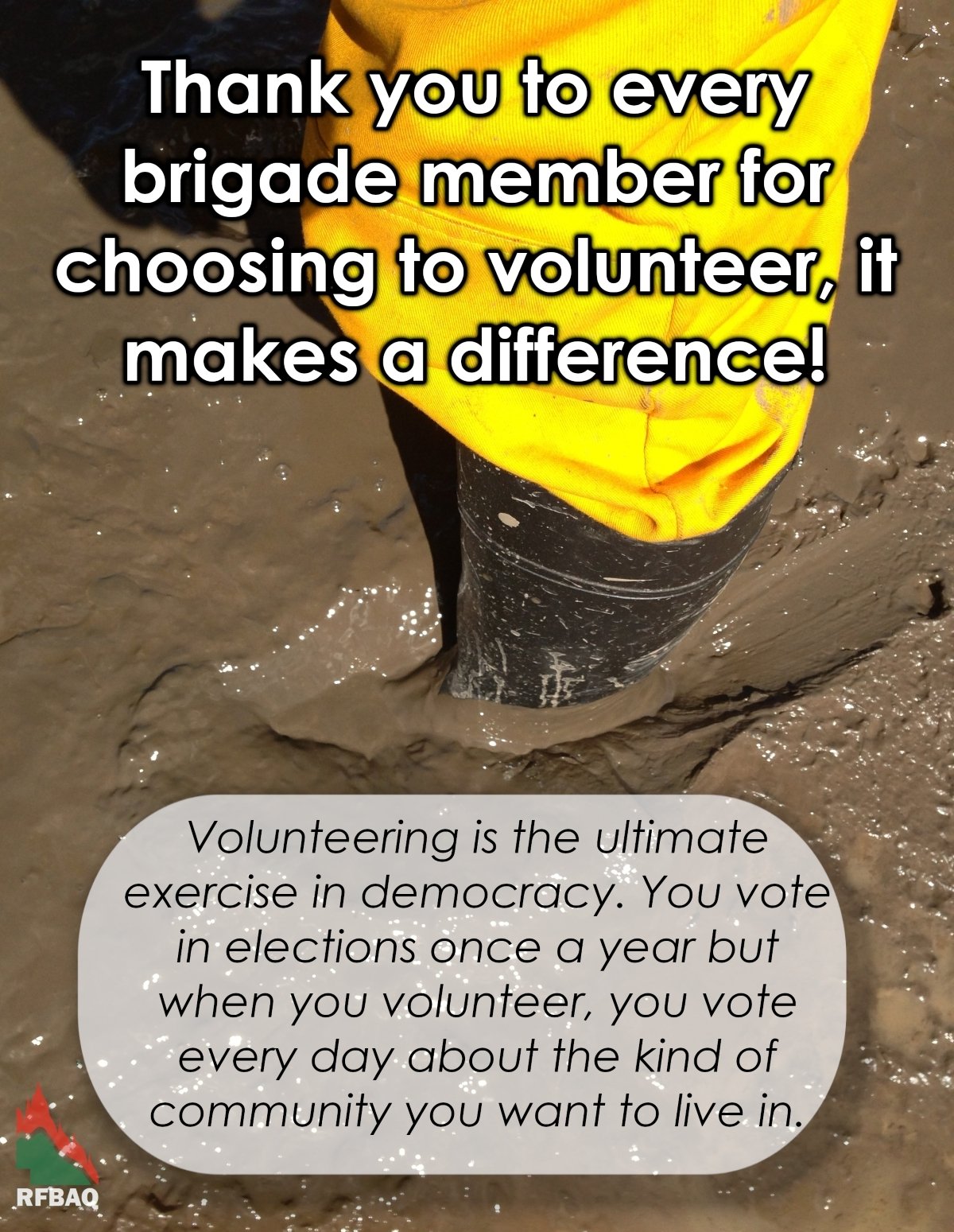 Back Cover GumBoot - 1 page